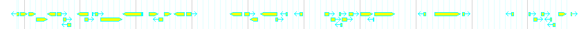 Genes detail