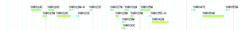 Genes detail