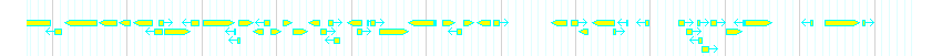 Genes detail