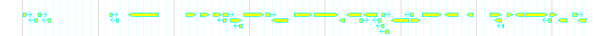 Genes detail