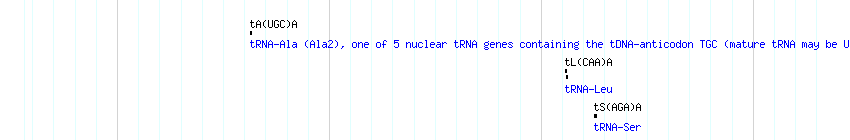 tRNAs detail