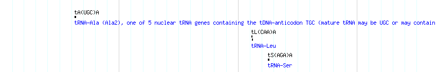 tRNAs detail