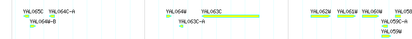 Genes detail