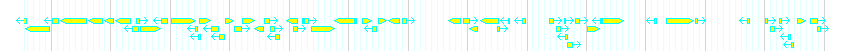 Genes detail