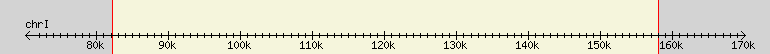 __scale__ region