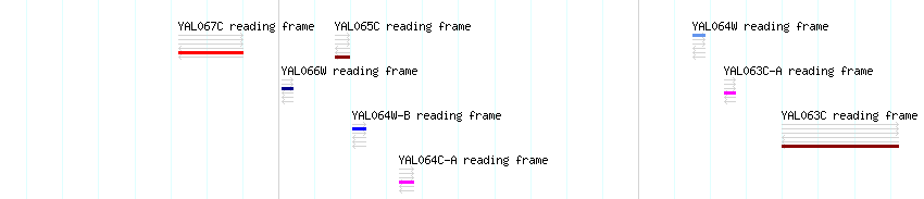 CDS detail