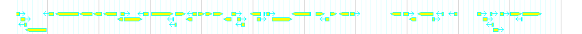 Genes detail