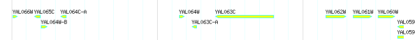 Genes detail