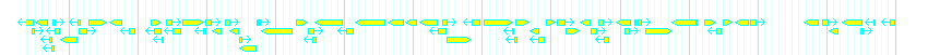 Genes detail