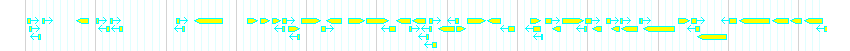 Genes detail