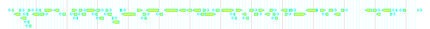 Genes detail