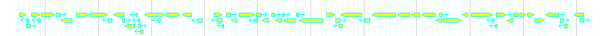 Genes detail