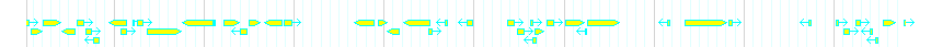 Genes detail