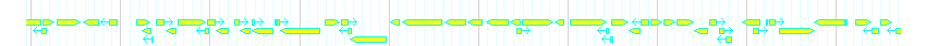 Genes detail