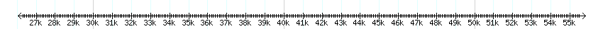 __scale__ detail