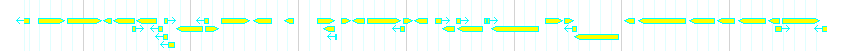 Genes detail