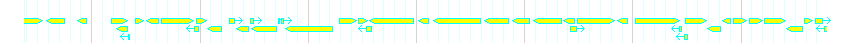 Genes detail