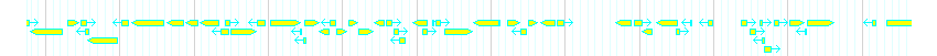 Genes detail