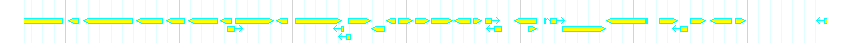 Genes detail