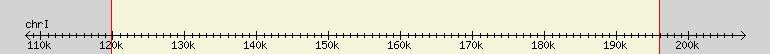 __scale__ region