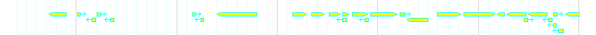 Genes detail