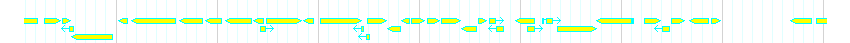 Genes detail
