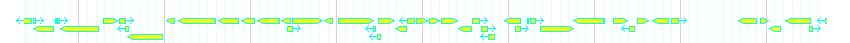 Genes detail