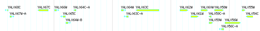 Genes detail
