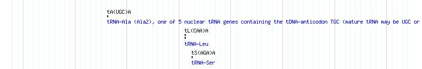 tRNAs detail