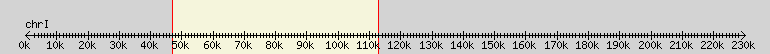 __scale__ overview