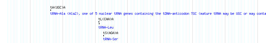 tRNAs detail