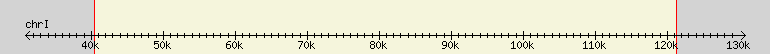 __scale__ region