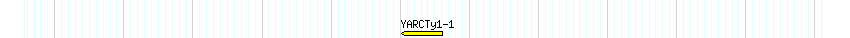 Transp detail