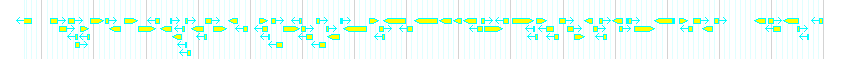 Genes detail