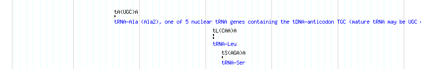 tRNAs detail