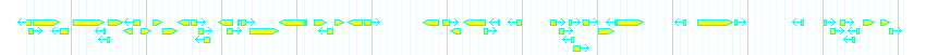 Genes detail