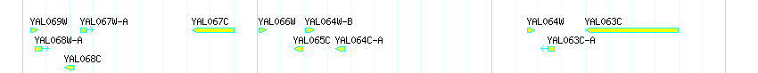 Genes detail