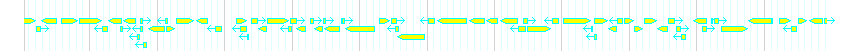 Genes detail