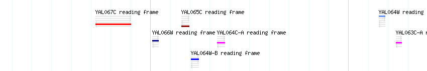 CDS detail
