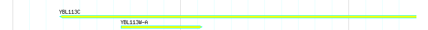 Genes detail