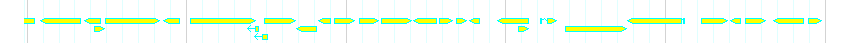 Genes detail