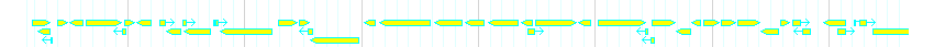 Genes detail