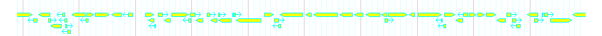 Genes detail