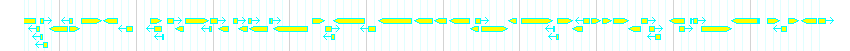 Genes detail