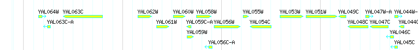 Genes detail