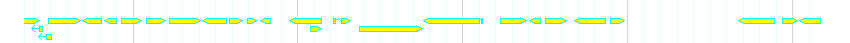 Genes detail