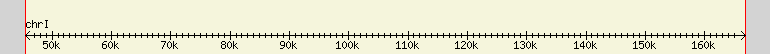 __scale__ region