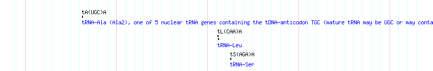 tRNAs detail