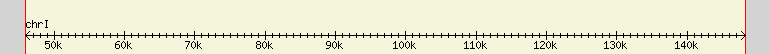 __scale__ region