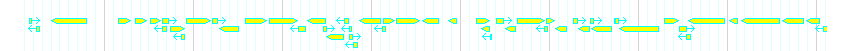 Genes detail